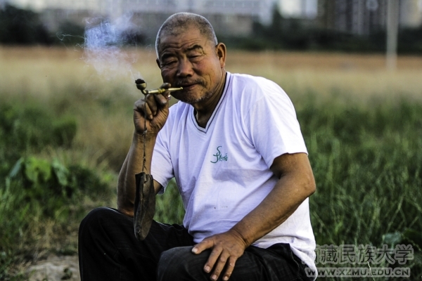 《岁月》