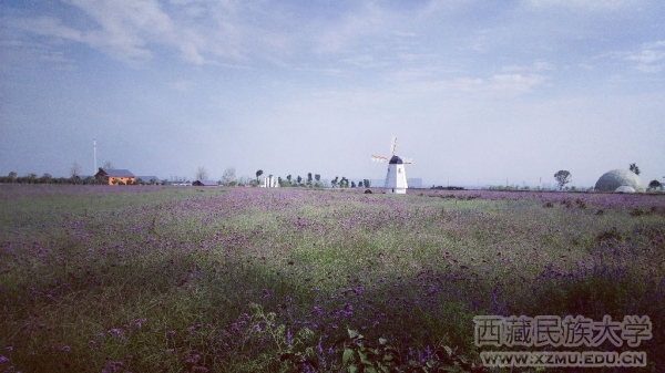 《都市之郊》